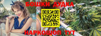 МДПВ Новодвинск