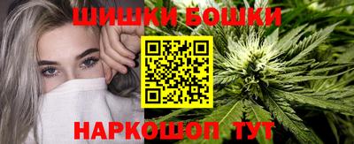 мдпв Обь