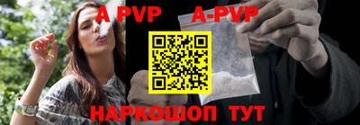 МДПВ Новодвинск